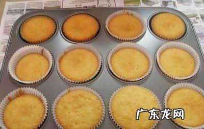 做蛋糕没有白醋和柠檬,如果做酸奶蛋糕没有醋也没有柠檬汁怎么办