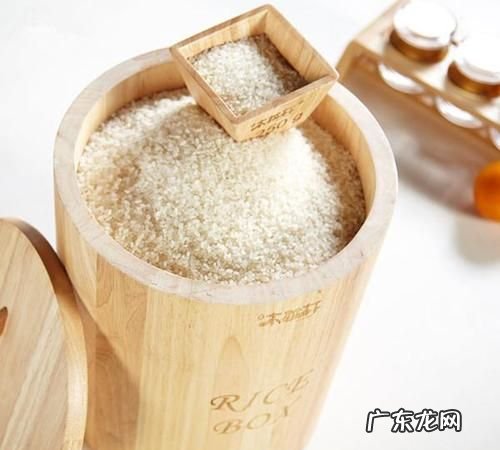 米桶里放什么不生虫,米桶里面放什么防虫