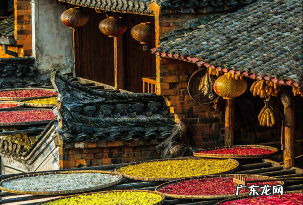 重阳节风俗有哪些,重阳节有哪些习俗
