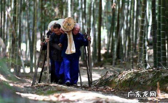 两人不看井三人不抱树什么意思,一人不进庙二人不看井三人不抱树什么意思叔侄不喝酒