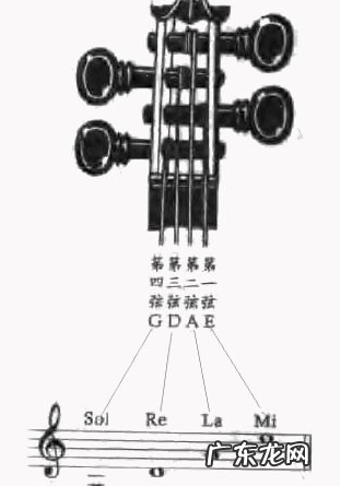 小提琴几根弦,乐器王后小提琴有几根弦