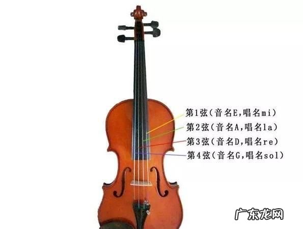 小提琴几根弦,乐器王后小提琴有几根弦