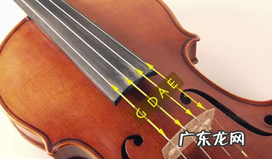小提琴几根弦,乐器王后小提琴有几根弦