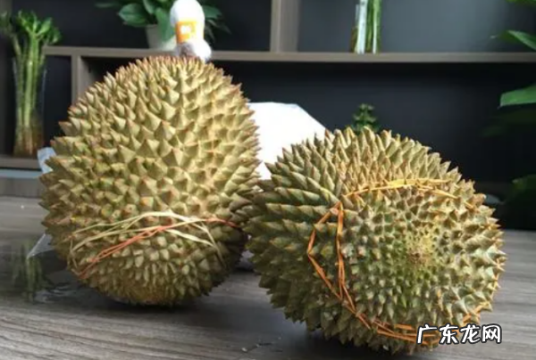 金枕头榴莲怎么挑,金枕头榴莲怎么挑才是最好的
