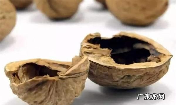 坚果壳是干垃圾还是湿垃圾,垃圾分类小龙虾壳是什么垃圾
