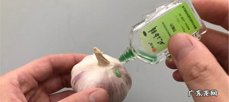 风油精加大蒜能驱蚊,风油精可以驱赶蚊子