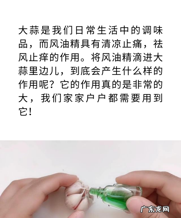 风油精加大蒜能驱蚊,风油精可以驱赶蚊子