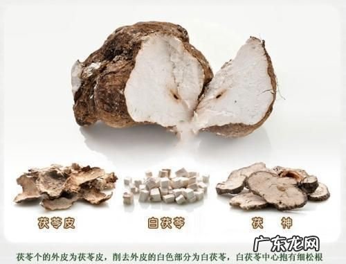 哪类人不宜吃茯苓,茯苓功效与作用的功效与作用及禁忌症有