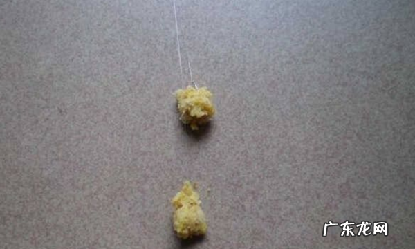 拉饵的技巧是什么,钓鱼拉饵怎么调配