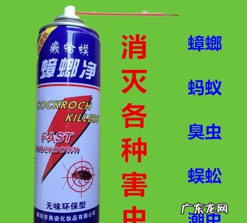 杀虫剂能杀蟑螂,可以用杀虫剂杀死蟑螂