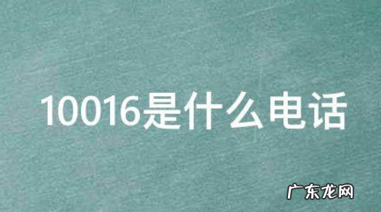 006是什么电话号码,400005006是什么电话