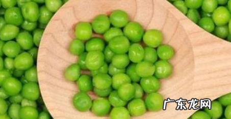 豌豆出牙了还能吃,豌豆发芽了还可以吃有毒