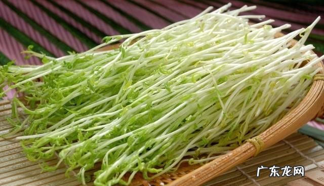豌豆出牙了还能吃,豌豆发芽了还可以吃有毒