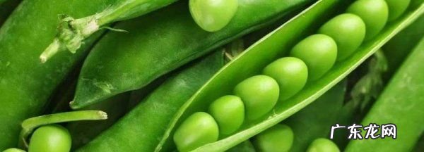 豌豆出牙了还能吃,豌豆发芽了还可以吃有毒