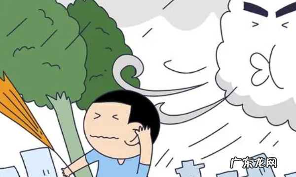 台风和飓风的区别,飓风和台风有什么区别