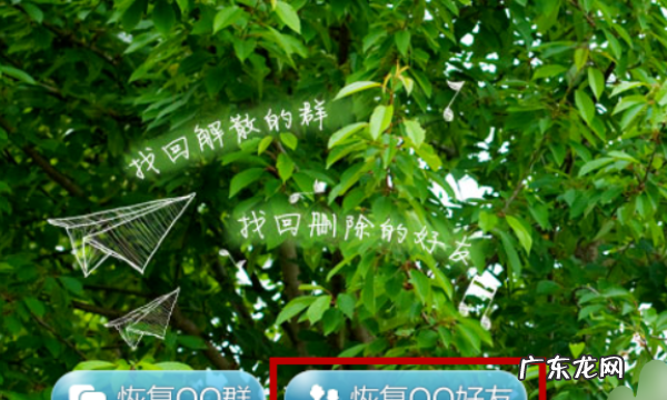 如何恢复qq好友,qq怎样能找回以前删的好友