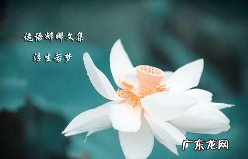 众生八苦是什么,佛家说的八苦是哪八苦