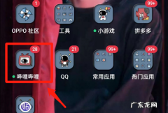 怎么从哔哩哔哩上下视频,哔哩哔哩怎么