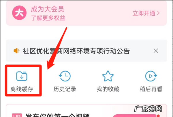 怎么从哔哩哔哩上下视频,哔哩哔哩怎么