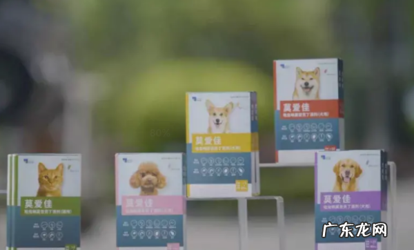 幼猫怎么驱虫用什么药,二个月的幼猫怎么驱虫