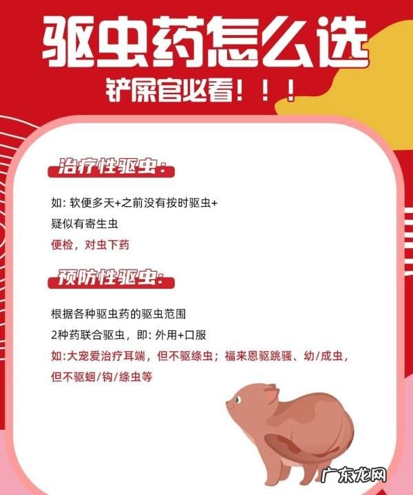 幼猫怎么驱虫用什么药,二个月的幼猫怎么驱虫