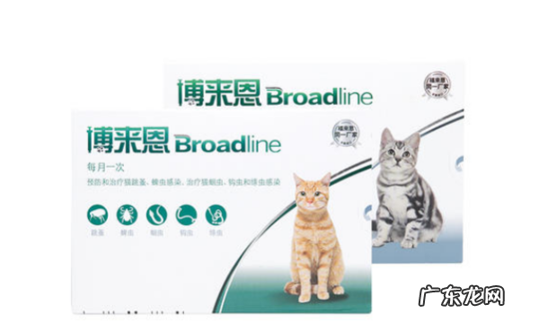 幼猫怎么驱虫用什么药,二个月的幼猫怎么驱虫