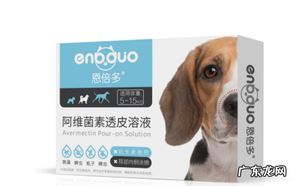 幼猫怎么驱虫用什么药,二个月的幼猫怎么驱虫
