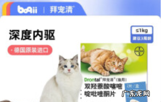幼猫怎么驱虫用什么药,二个月的幼猫怎么驱虫