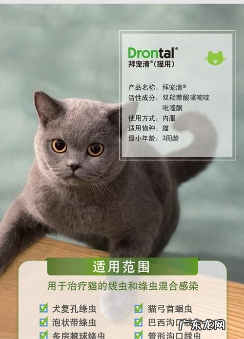 幼猫怎么驱虫用什么药,二个月的幼猫怎么驱虫