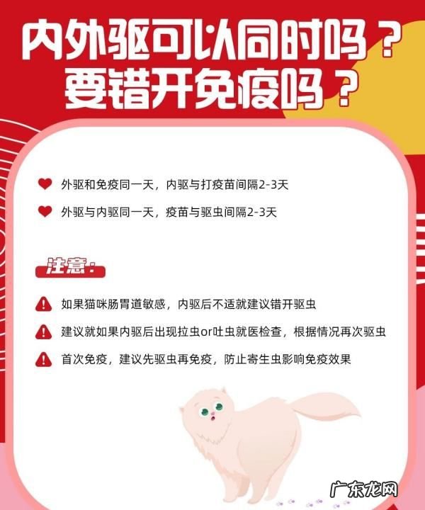 幼猫怎么驱虫用什么药,二个月的幼猫怎么驱虫