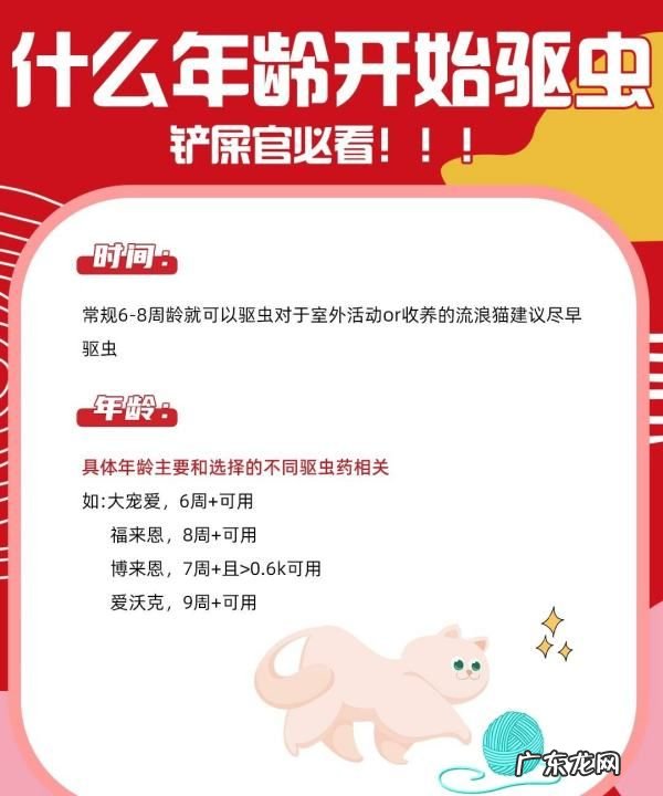 幼猫怎么驱虫用什么药,二个月的幼猫怎么驱虫