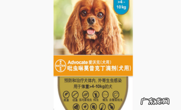 幼猫怎么驱虫用什么药,二个月的幼猫怎么驱虫