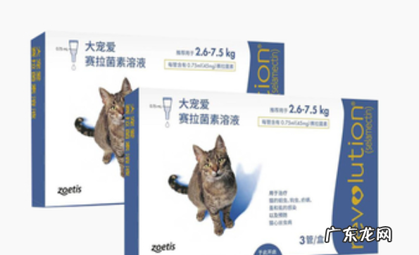 幼猫怎么驱虫用什么药,二个月的幼猫怎么驱虫