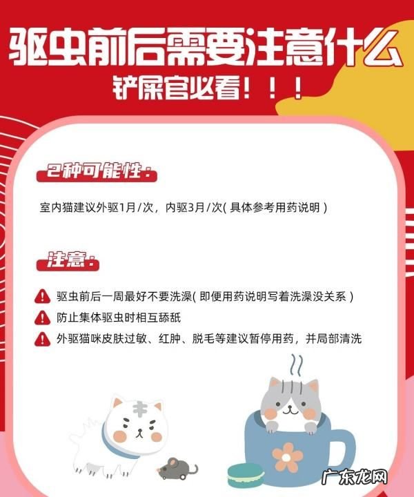 幼猫怎么驱虫用什么药,二个月的幼猫怎么驱虫