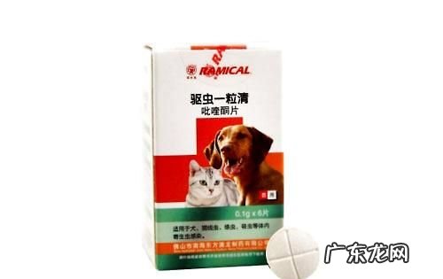 幼猫怎么驱虫用什么药,二个月的幼猫怎么驱虫