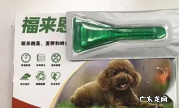 幼猫怎么驱虫用什么药,二个月的幼猫怎么驱虫