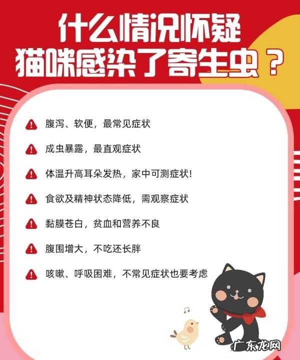 幼猫怎么驱虫用什么药,二个月的幼猫怎么驱虫