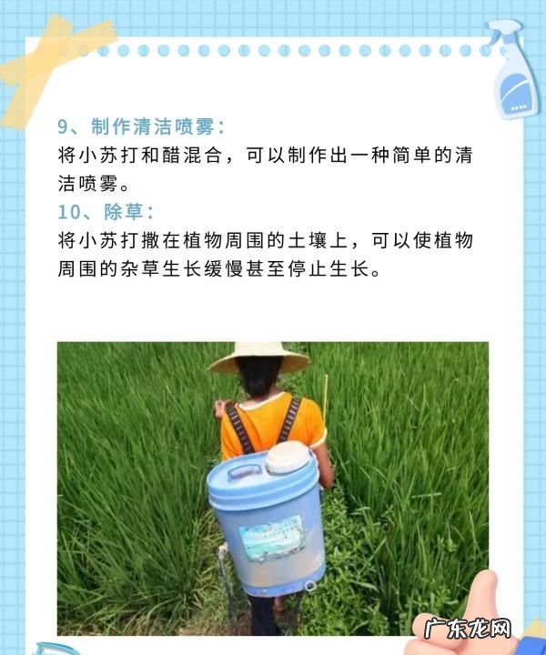 怎么样用小苏打去除下水道臭味,下水道反味怎么办