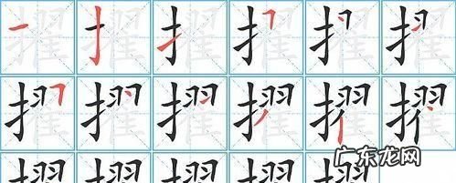 扌和什么有关,扌的字大多与什么有关系