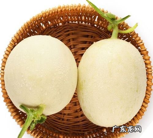 白皮甜瓜怎么挑选,怎么挑香瓜才能挑出最好吃的