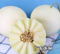 白皮甜瓜怎么挑选,怎么挑香瓜才能挑出最好吃的