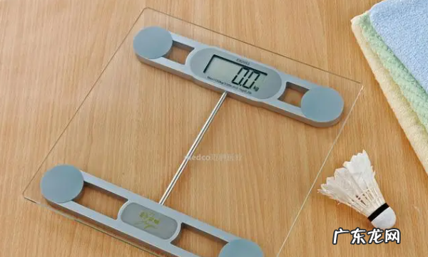 称的种类和,紫色的玫瑰花叫什么名字