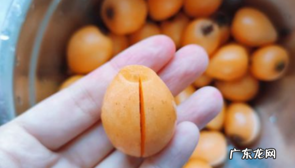 自己做的枇杷膏怎么吃,自制枇杷膏的正确食用方法