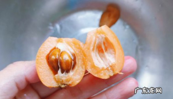 自己做的枇杷膏怎么吃,自制枇杷膏的正确食用方法