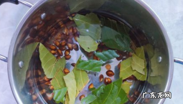 自己做的枇杷膏怎么吃,自制枇杷膏的正确食用方法