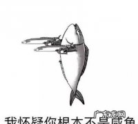 fashion有咸鱼的意思,为什么说咸鱼淡肉