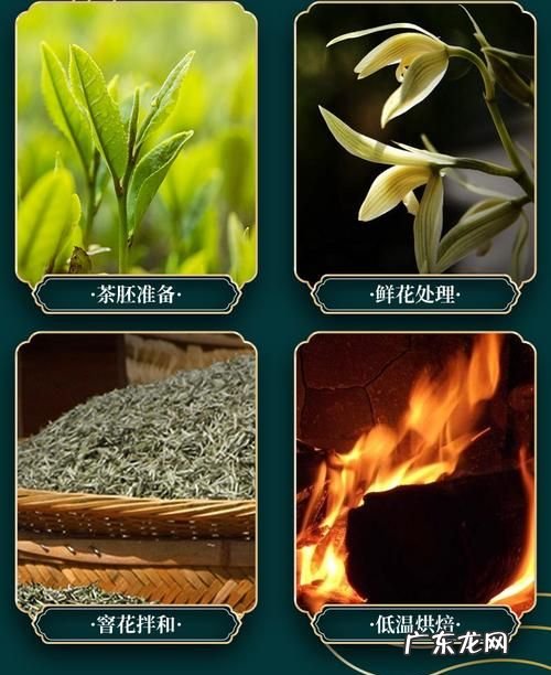 踏雪兰妃茶属于什么茶,踏雪兰妃茶属于什么茶伤胃