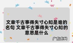 文章千古事得失寸心知是谁的名句作者,文章千古事得失寸心知是谁的诗
