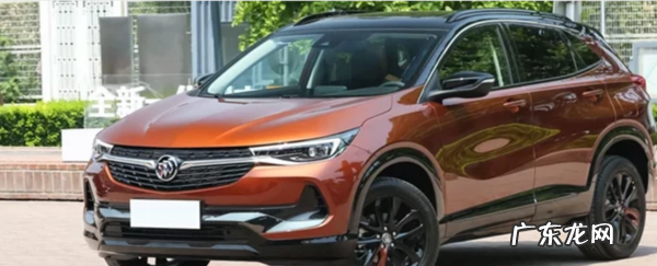 怎么保持车里淡淡香味,怎么保持车里淡淡香味还健康