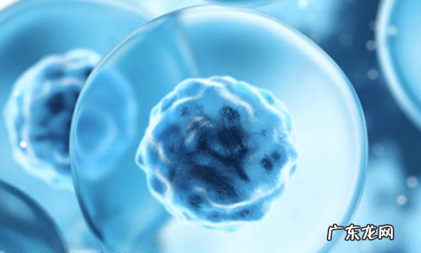 体检sod是指什么,sod是什么意思